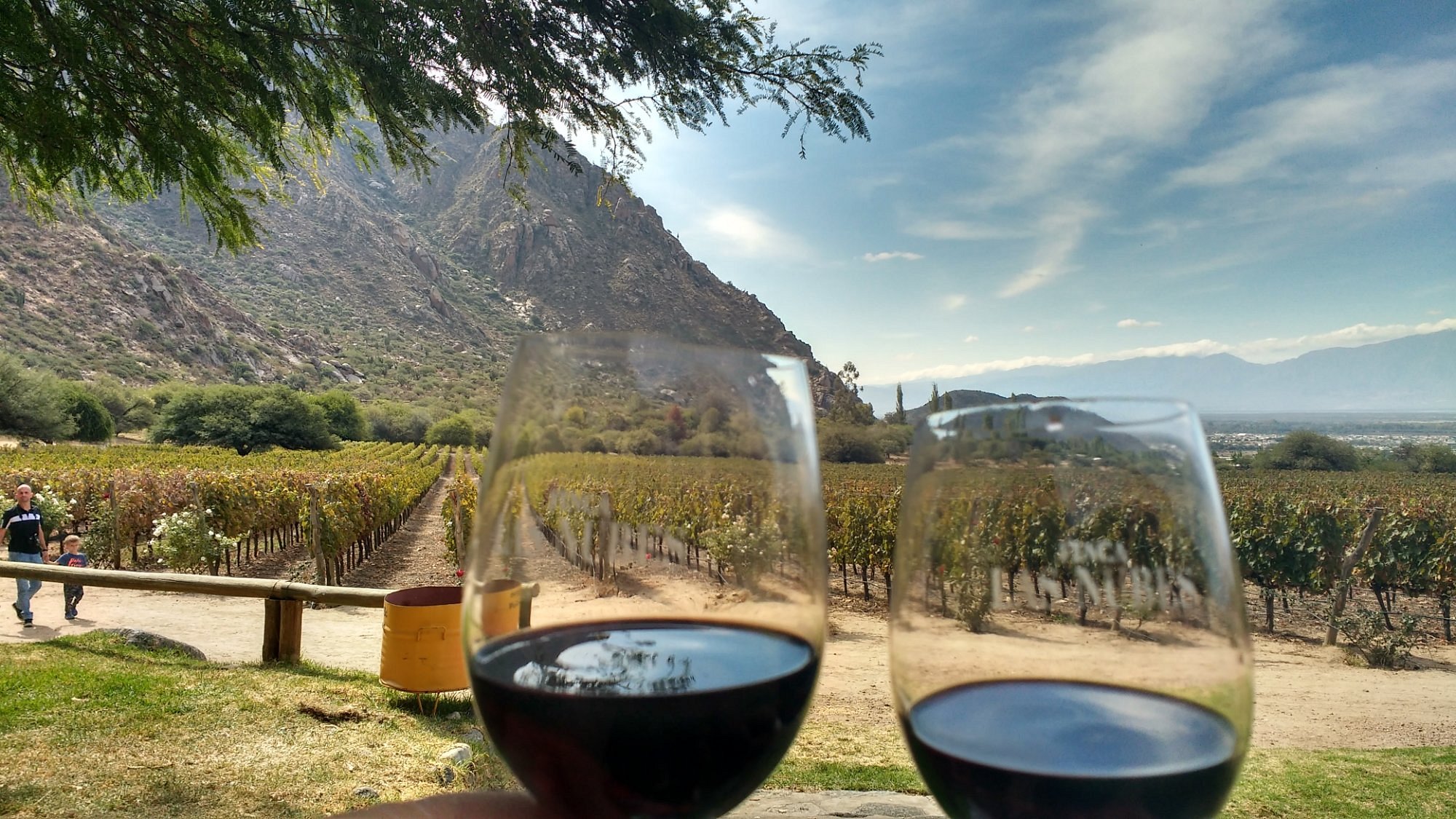 malbec-de-altura-finca
